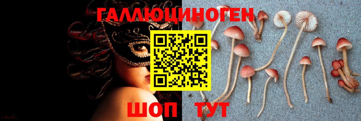 Тихвин  Псилоцибиновые грибы мухоморы  где купить наркоту  Вход с VPN 